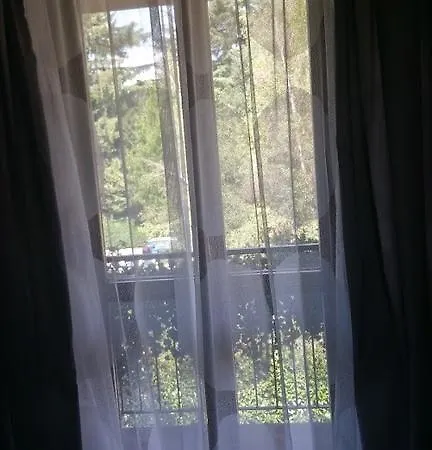 La Belle Coquette *
